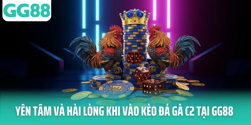 Yên tâm và hài lòng khi vào kèo đá gà C2 tại GG88